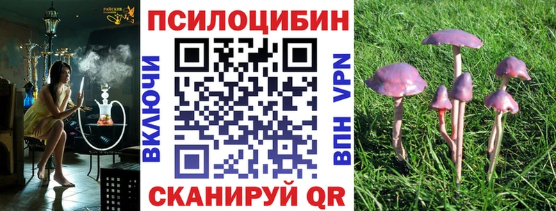 Галлюциногенные грибы Psilocybe  blacksprut tor  Велиж 